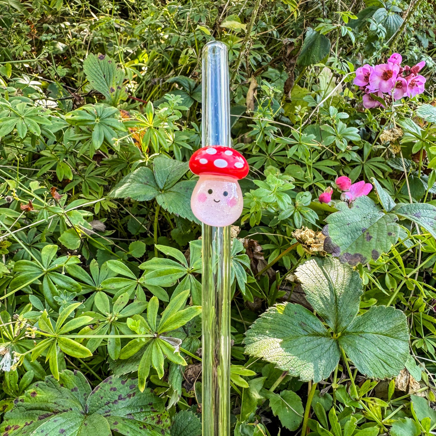 Glasstrohhalm - Magische Fliegenpilze 🍄✨