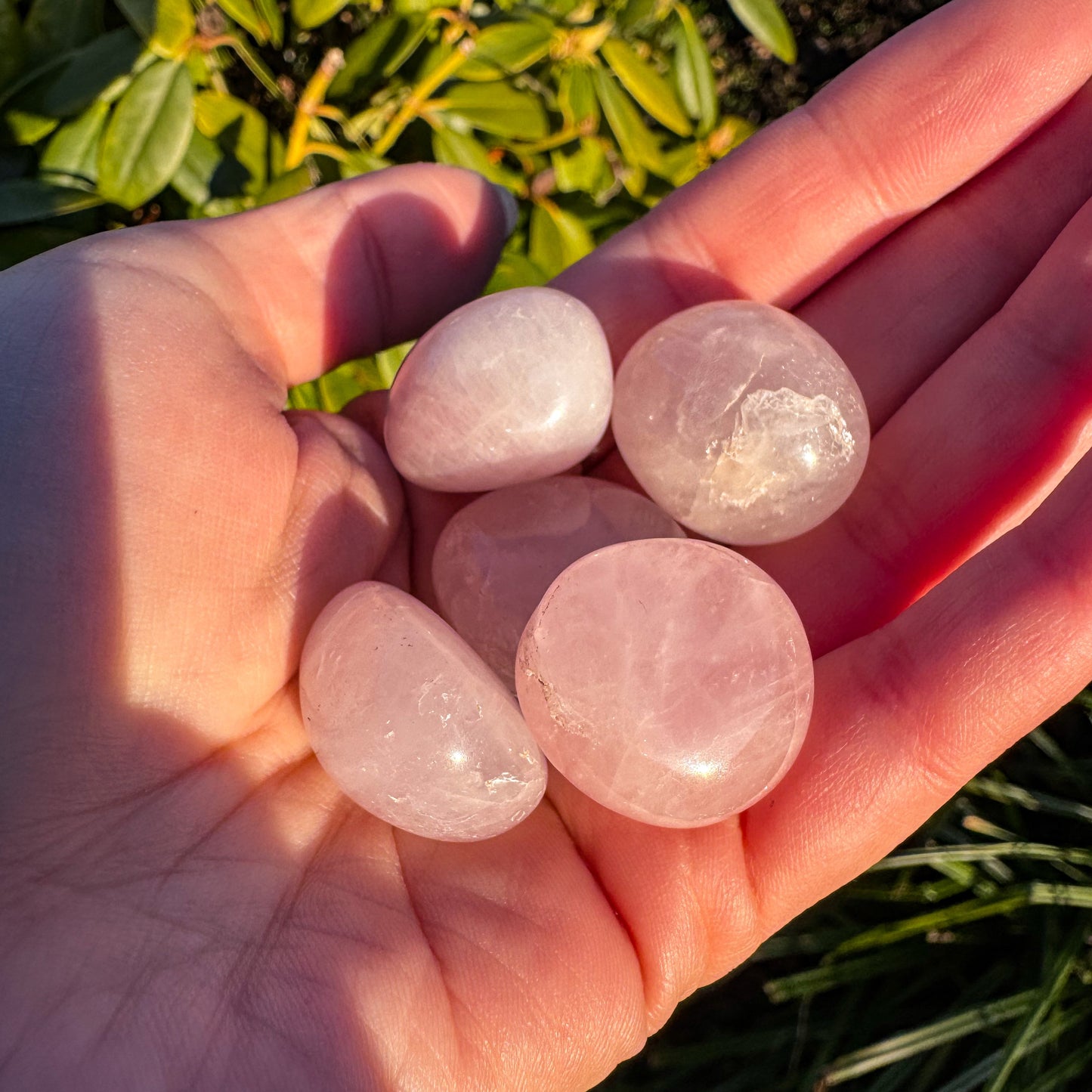 Rosenquarz - Stein des sanften Herzens 🩷