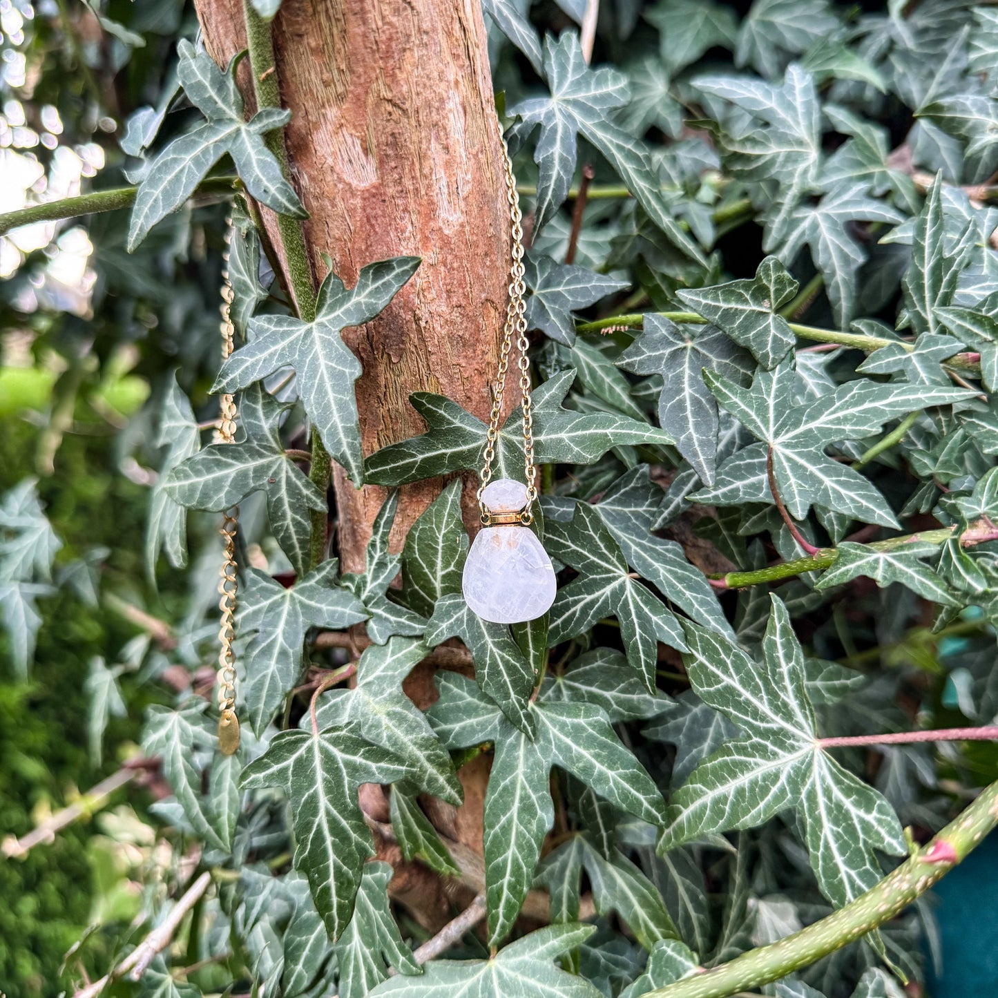 Gefäß des Morgentaus aus natürlichem Bergkristall 🤍✨