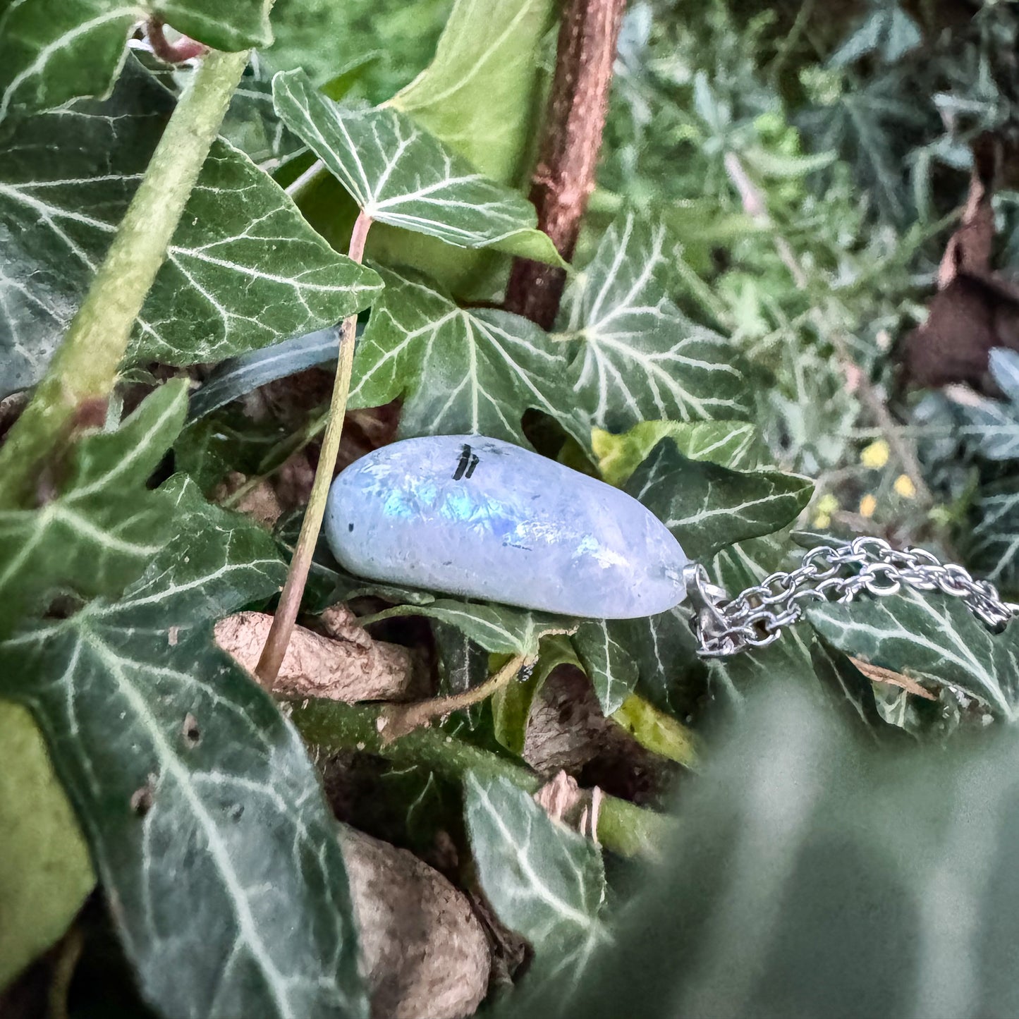 Talisman der Mondkraft mit natürlichem Regenbogen Mondstein (weißer Labradorit) 🤍✨