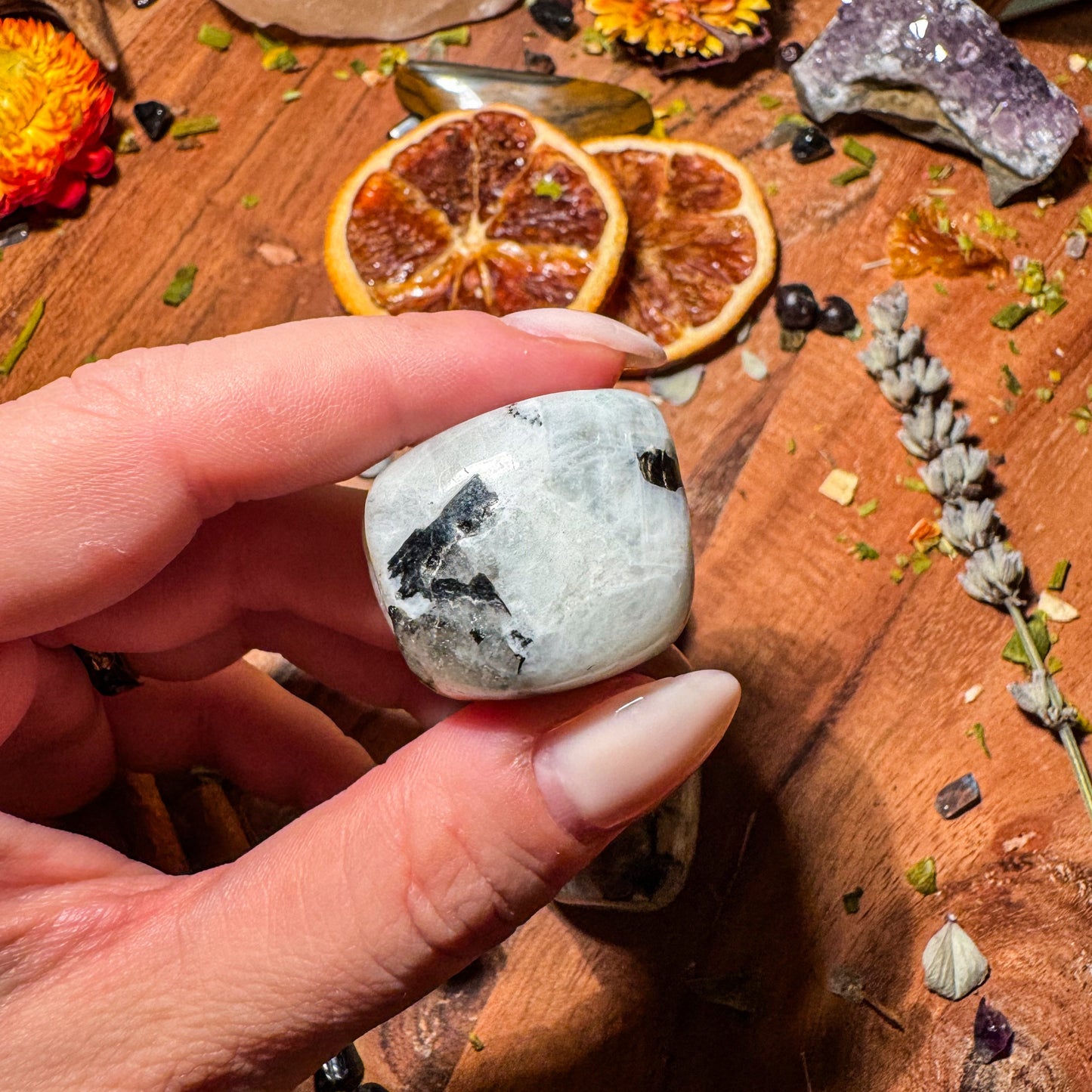 Regenbogen Mondstein (weißer Labradorit) 🤍