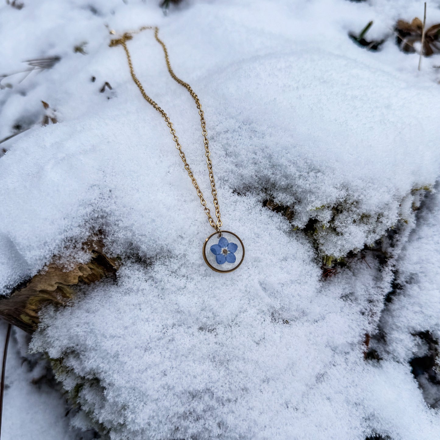 Amulett der Erinnerung mit natürlichem Vergissmeinnicht 🌸