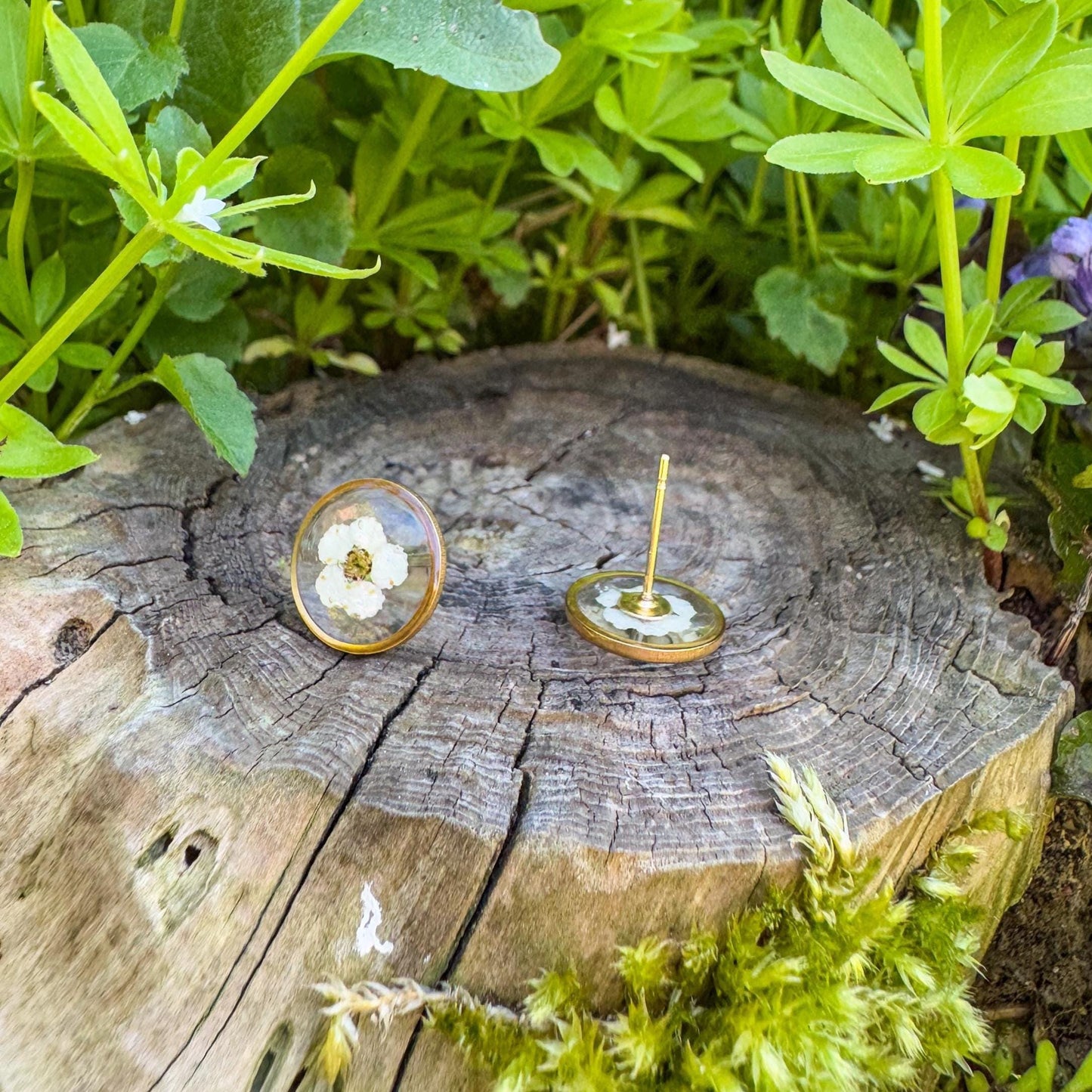 Spierstrauch-Ohrstecker - Zartes Schmuckstück mit echter Blüte 🌺