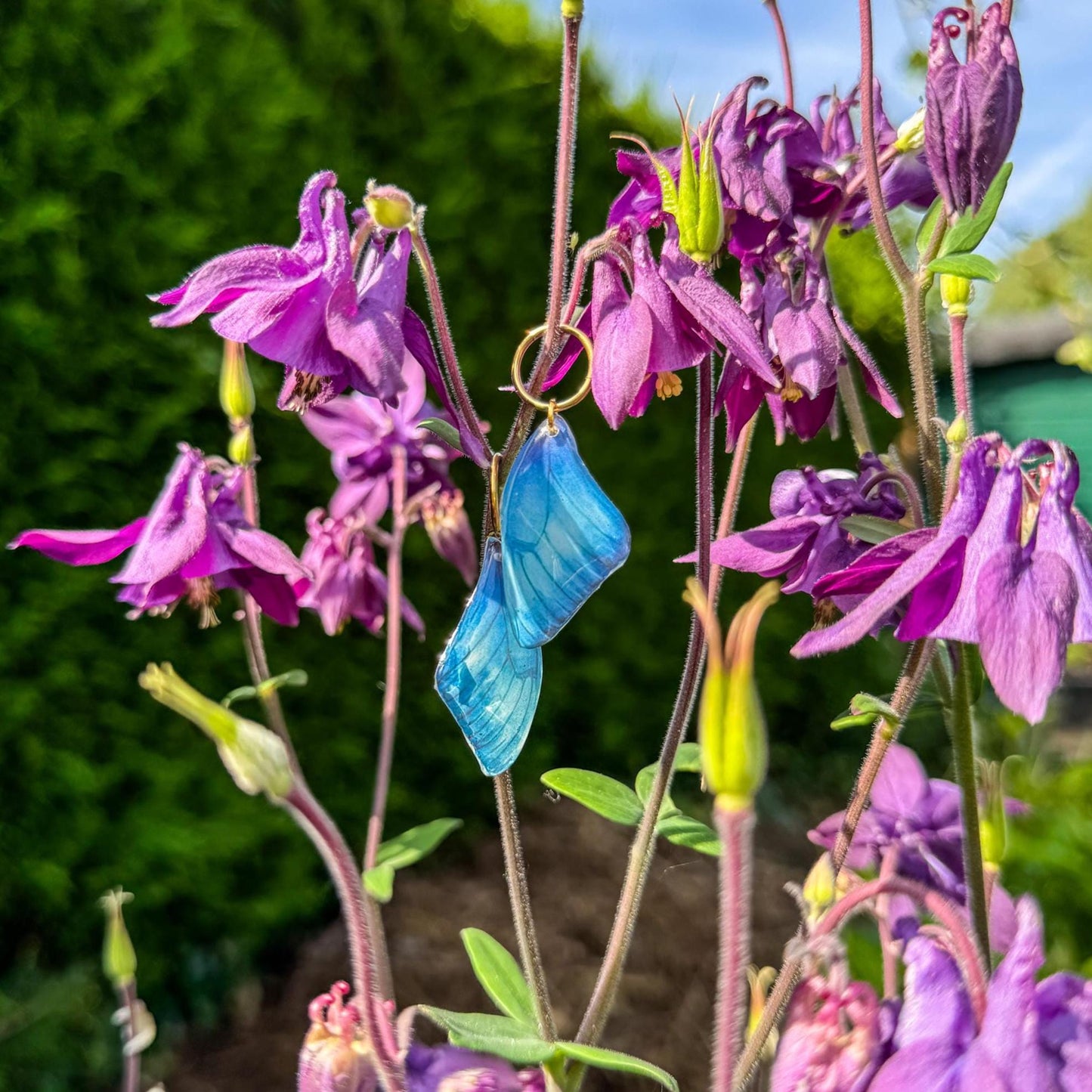 Zauberhafte Schmetterlings-Ohrringe - Handgefertigtes Schmuckstück mit einem Hauch Magie ✨