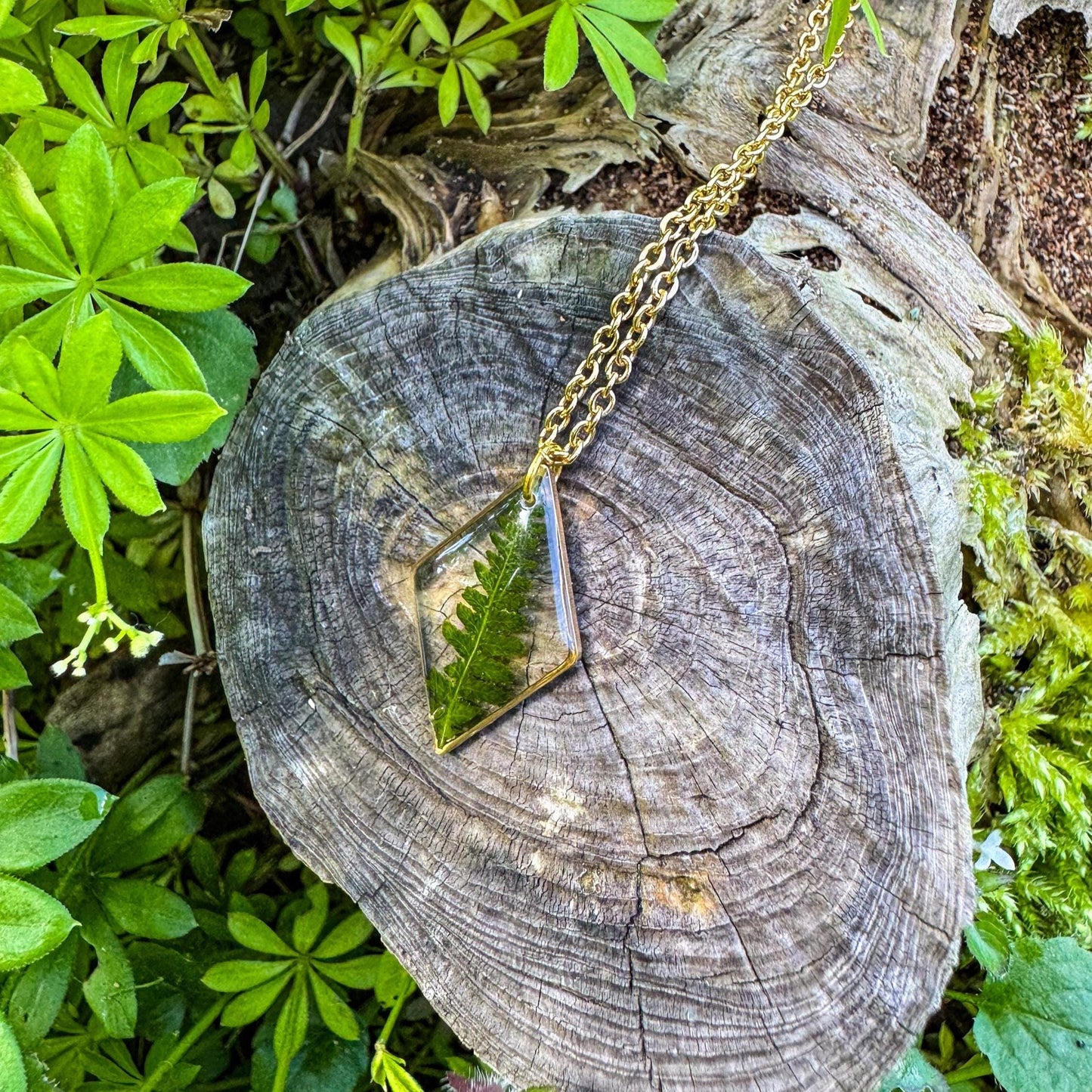 Farn-Anhänger - Einzigartiges Naturschmuckstück 🌿
