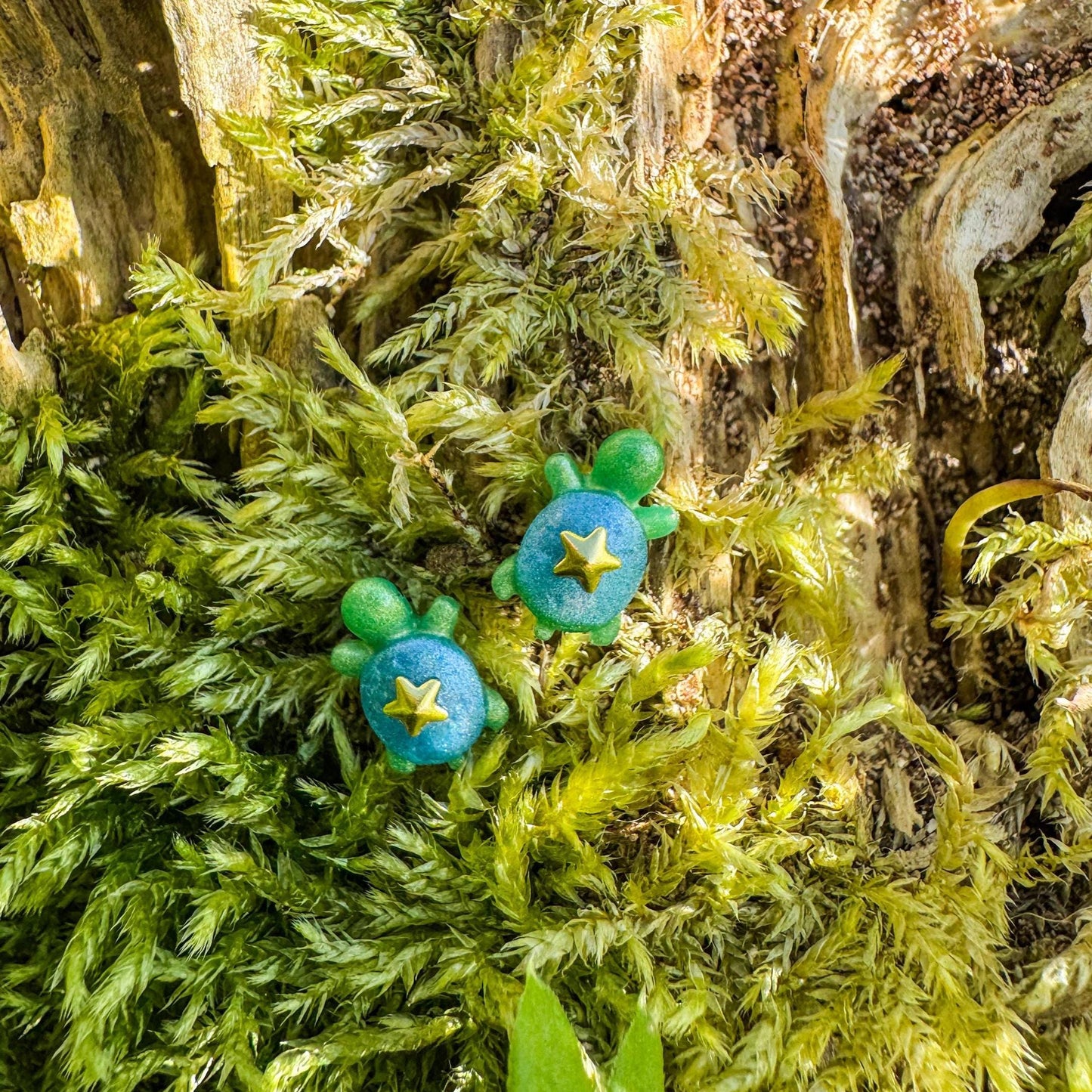 Niedliche Schildkröten-Ohrstecker - zauberhaftes Schmuckstück für Tierfreunde 🐢