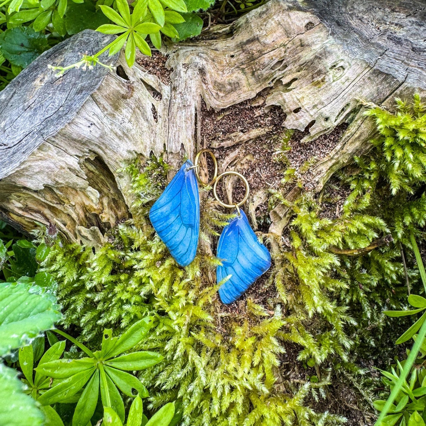 Zauberhafte Schmetterlings-Ohrringe - Handgefertigtes Schmuckstück mit einem Hauch Magie ✨