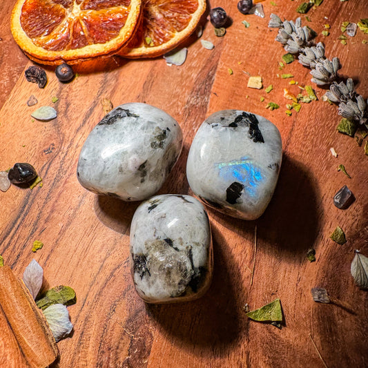 Regenbogen Mondstein (weißer Labradorit) 🤍