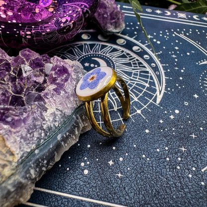 Ring der Erinnerung mit natürlichem Vergissmeinnicht 🌸