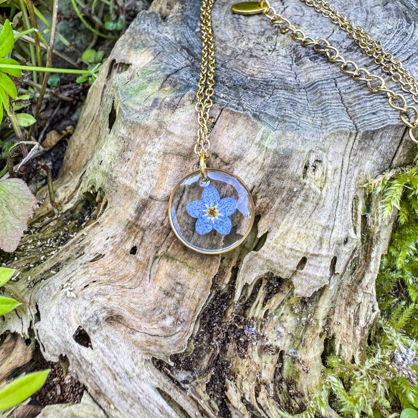 Amulett der Erinnerung mit echtem Vergissmeinnicht 🌸