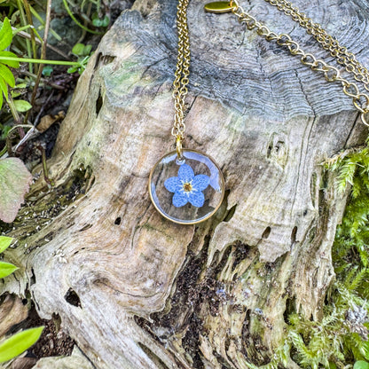 Amulett der Erinnerung mit echtem Vergissmeinnicht 🌸