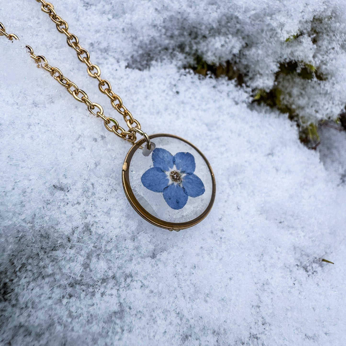 Amulett der Erinnerung mit natürlichem Vergissmeinnicht 🌸