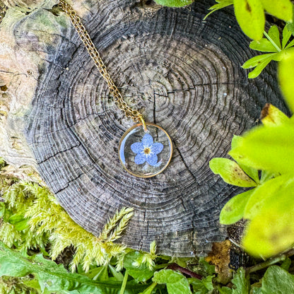 Amulett der Erinnerung mit echtem Vergissmeinnicht 🌸