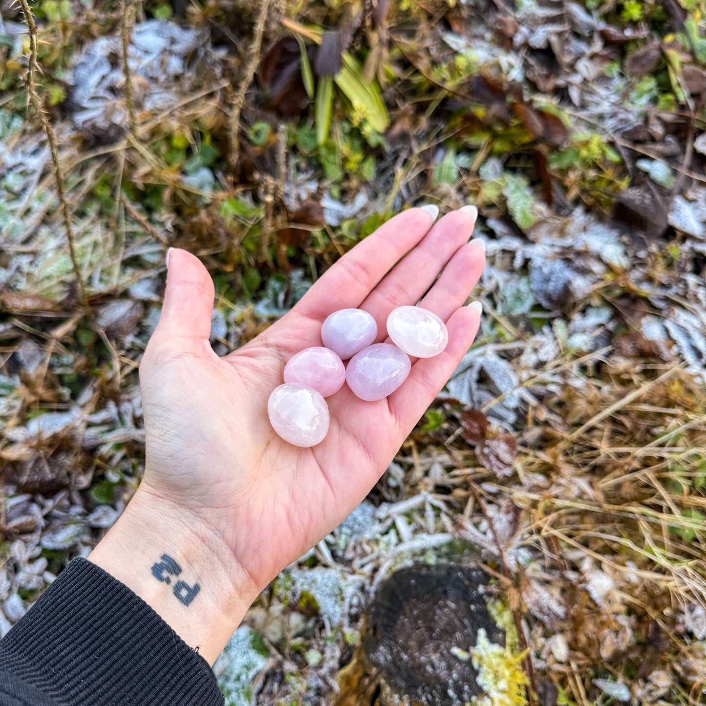 Rosenquarz - Stein des sanften Herzens 🩷