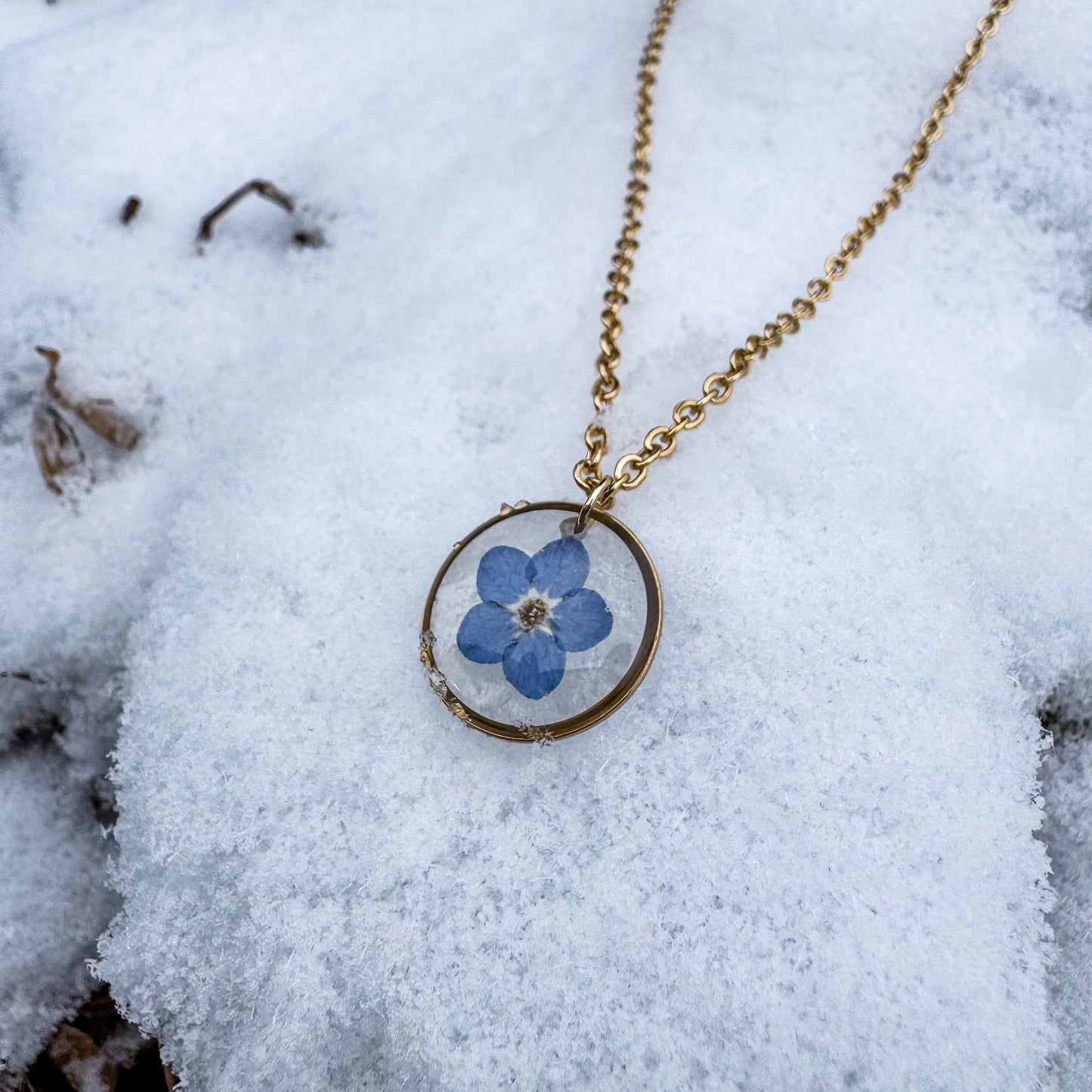 Amulett der Erinnerung mit natürlichem Vergissmeinnicht 🌸