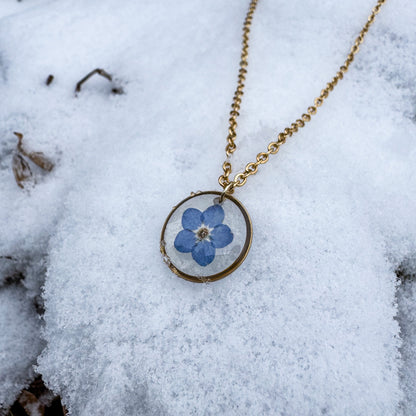 Amulett der Erinnerung mit natürlichem Vergissmeinnicht 🌸