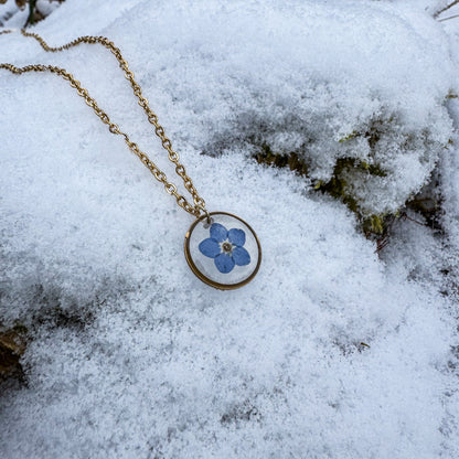 Amulett der Erinnerung mit natürlichem Vergissmeinnicht 🌸