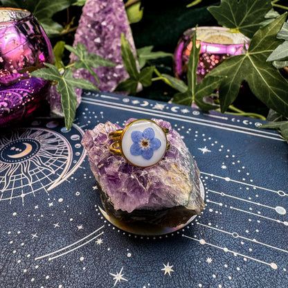 Ring der Erinnerung mit natürlichem Vergissmeinnicht 🌸