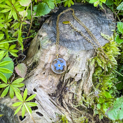 Amulett der Erinnerung mit echtem Vergissmeinnicht 🌸