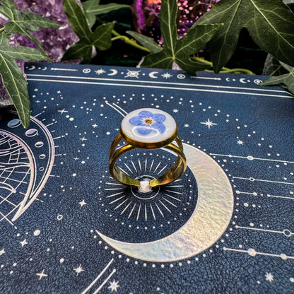 Ring der Erinnerung mit natürlichem Vergissmeinnicht 🌸
