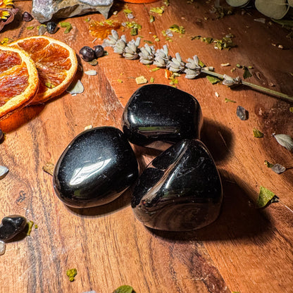 Obsidian - der Lava-Geborene 🖤