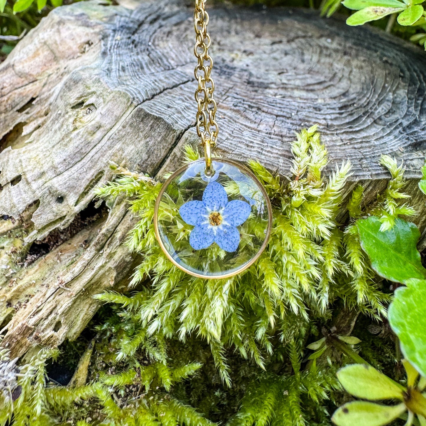 Amulett der Erinnerung mit echtem Vergissmeinnicht 🌸