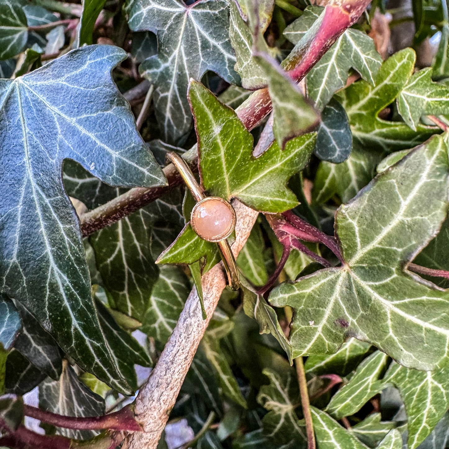 Ring mit natürlichem Rosenquarz 🩷✨
