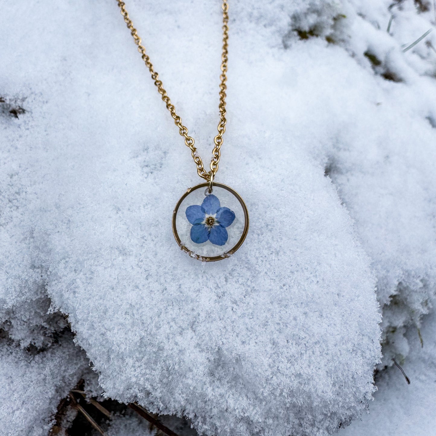 Amulett der Erinnerung mit natürlichem Vergissmeinnicht 🌸