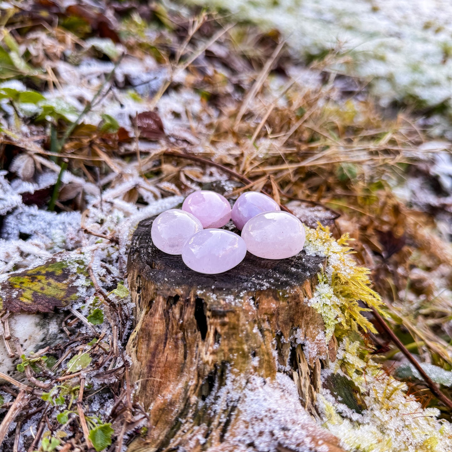 Rosenquarz - Stein des sanften Herzens 🩷