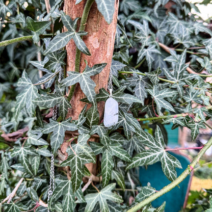 Talisman der Mondkraft mit natürlichem Regenbogen Mondstein (weißer Labradorit) 🤍✨
