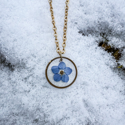 Amulett der Erinnerung mit natürlichem Vergissmeinnicht 🌸