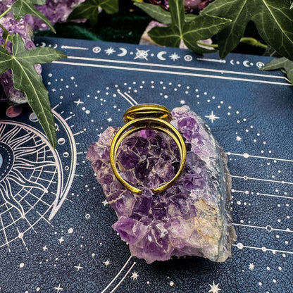 Ring der Erinnerung mit natürlichem Vergissmeinnicht 🌸