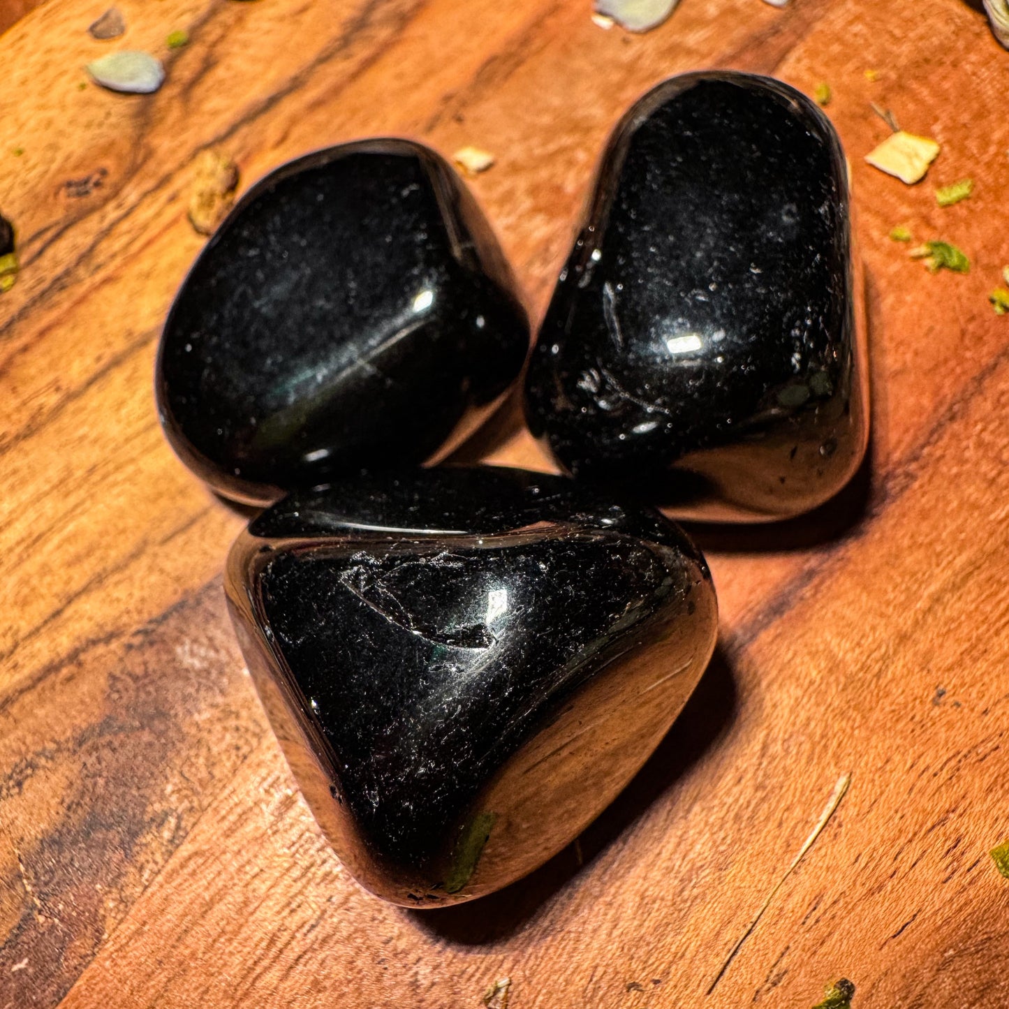 Obsidian - der Lava-Geborene 🖤