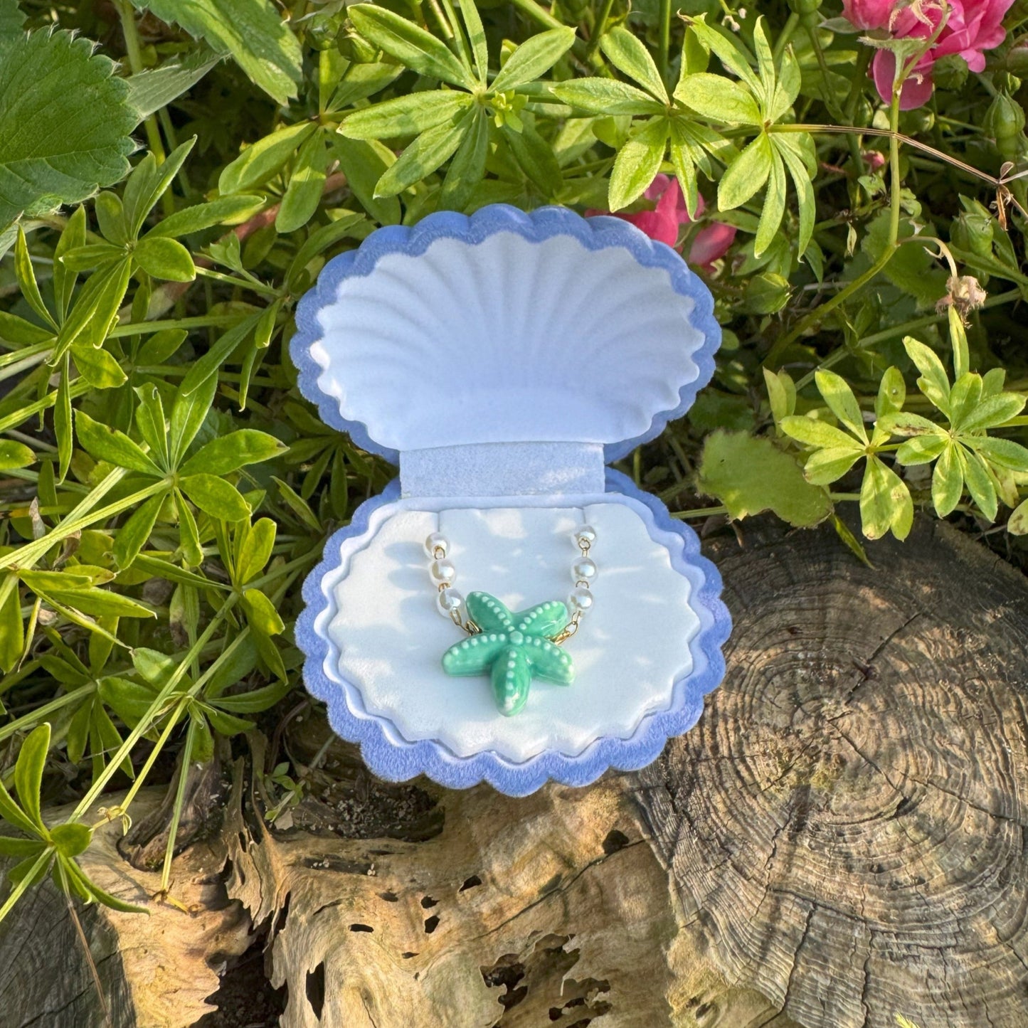 Geschenkverpackung für Schmuck - Süße Muschel 🎀