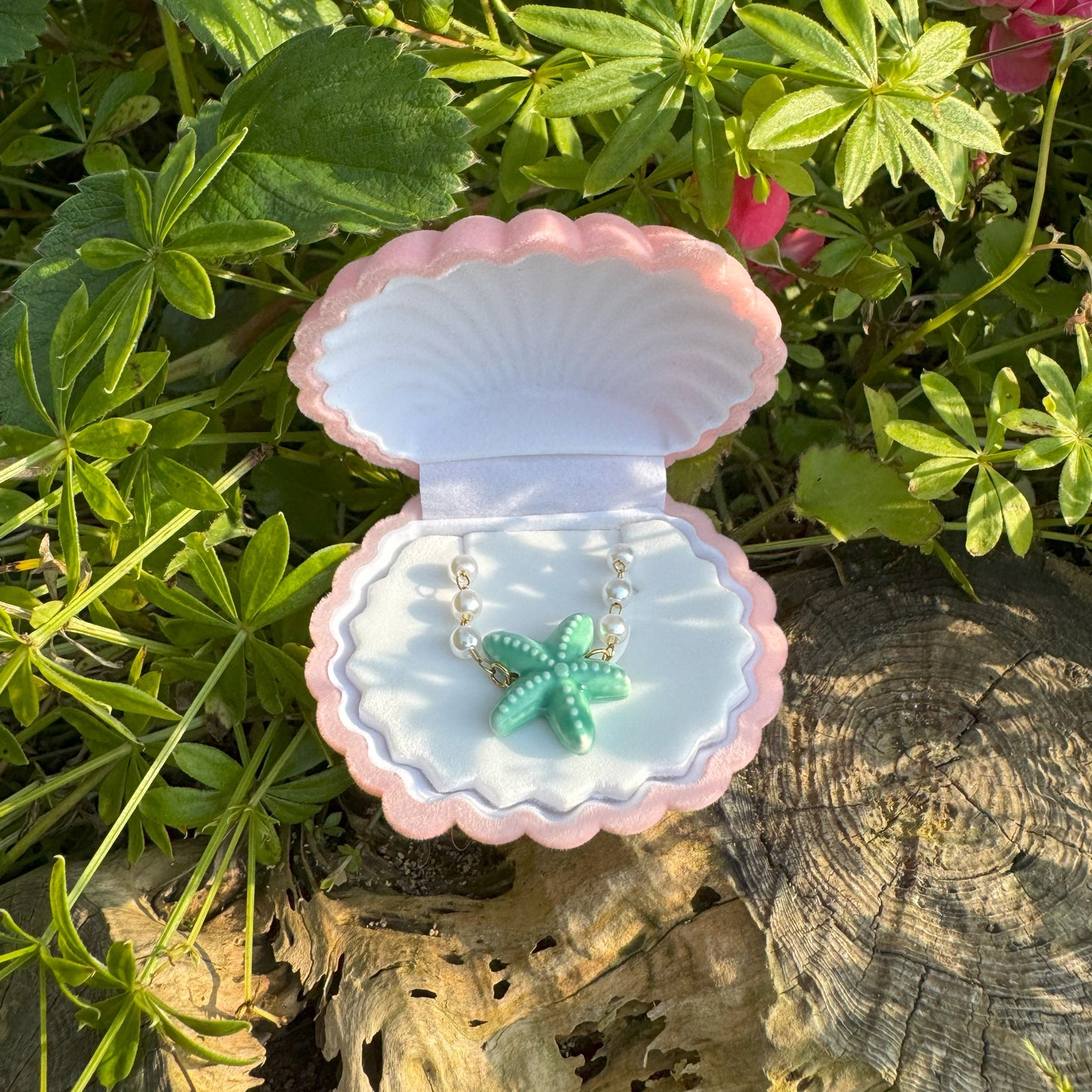 Geschenkverpackung für Schmuck - Süße Muschel 🎀