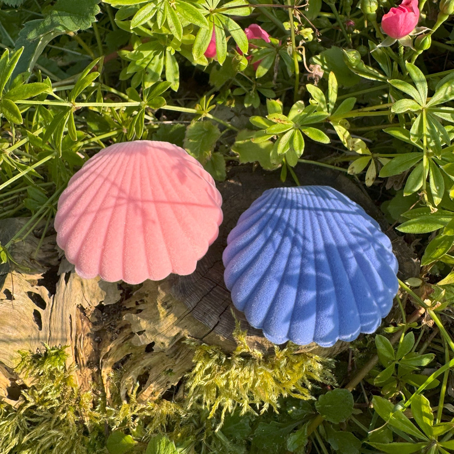 Geschenkverpackung für Schmuck - Süße Muschel 🎀