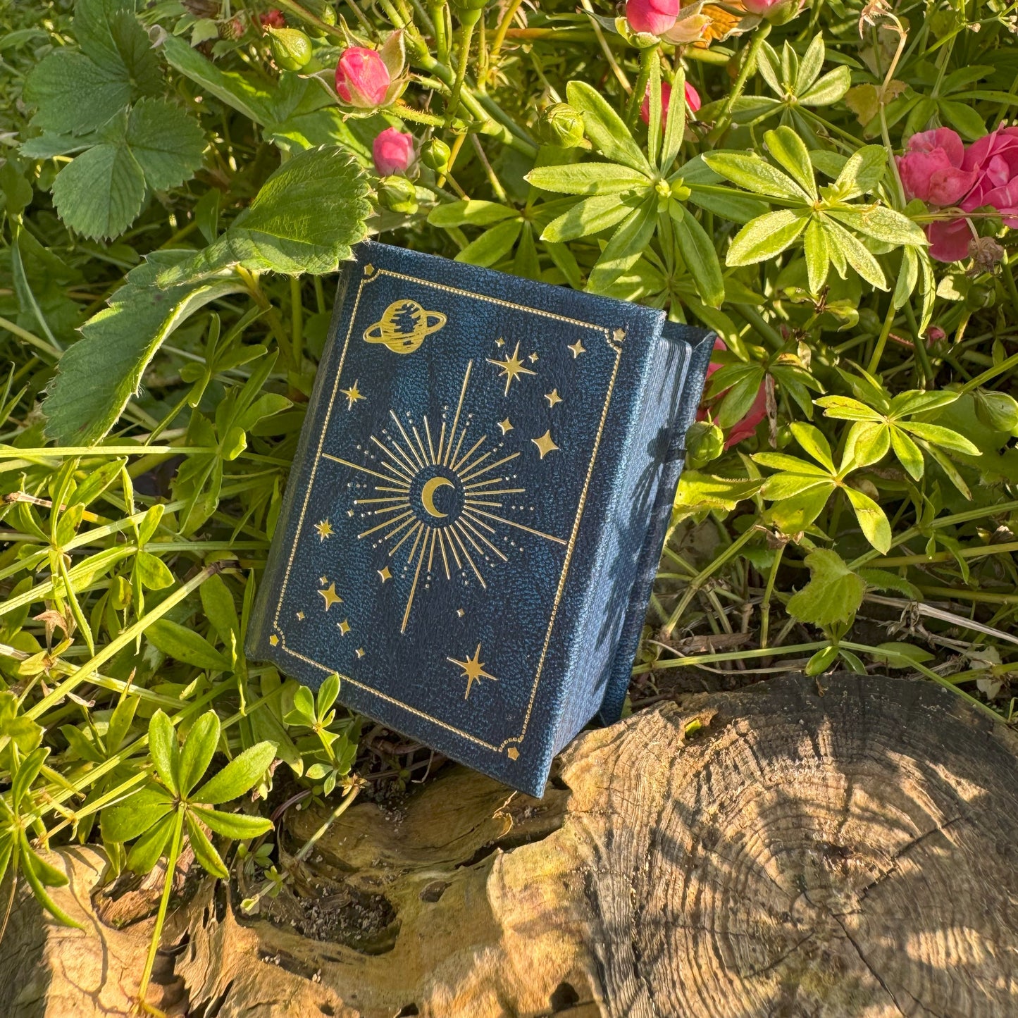 Geschenkverpackung für Schmuck - Magisches Zauberbuch 🎀