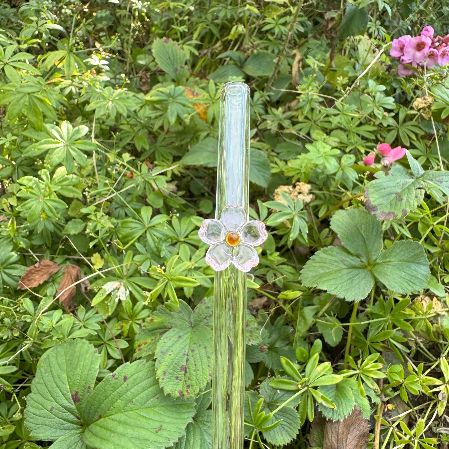 Glasstrohhalm - Süße Blümchen 🌺✨