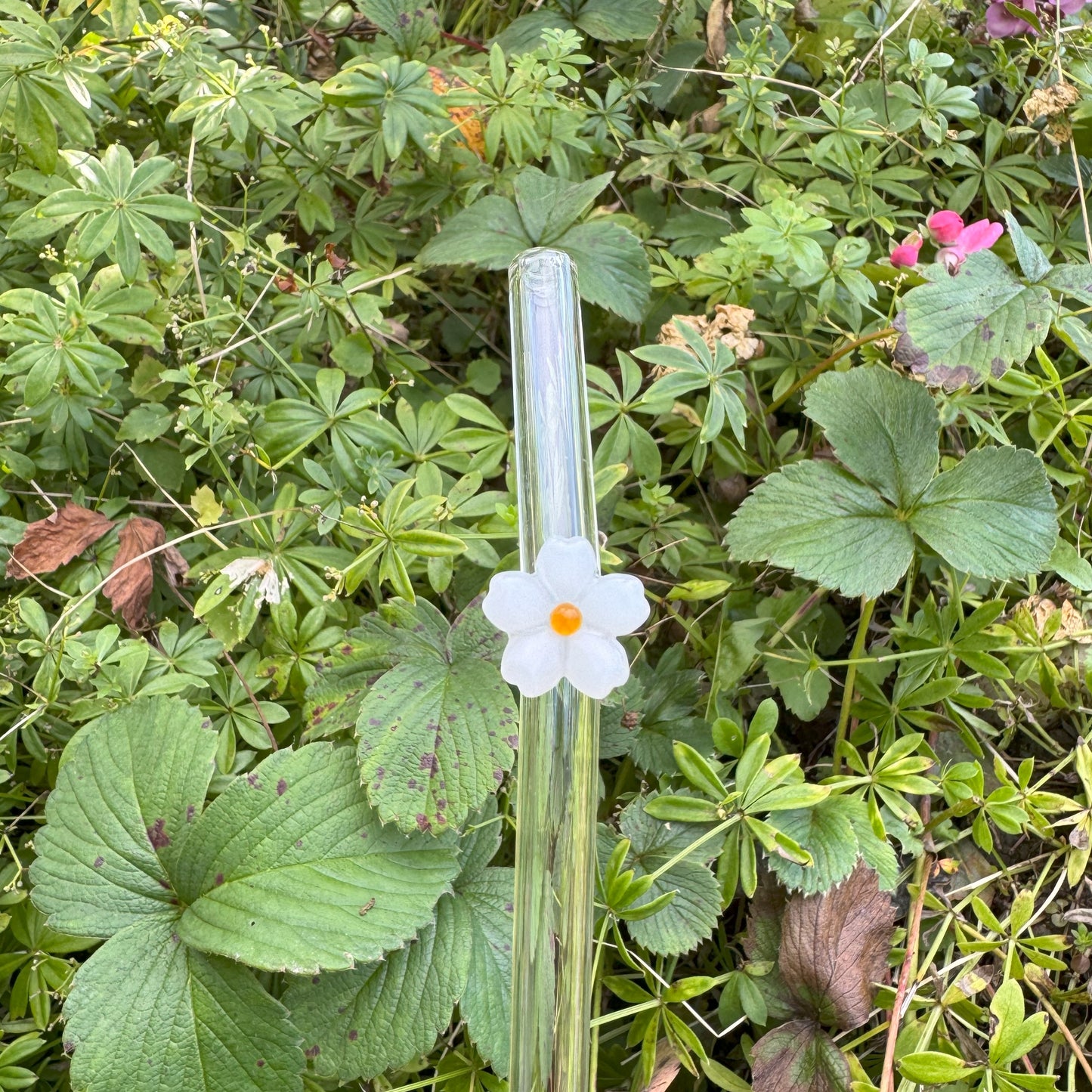 Glasstrohhalm - Süße Blümchen 🌺✨