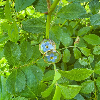 Vergissmeinnicht-Ohrstecker - Zartes Schmuckstück mit echter Blüte 🌺