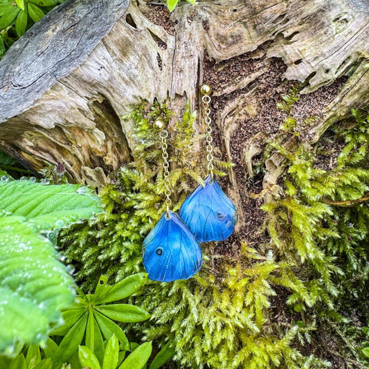 Zauberhafte Schmetterlings-Ohrstecker - Handgefertigtes Schmuckstück mit einem Hauch Magie ✨