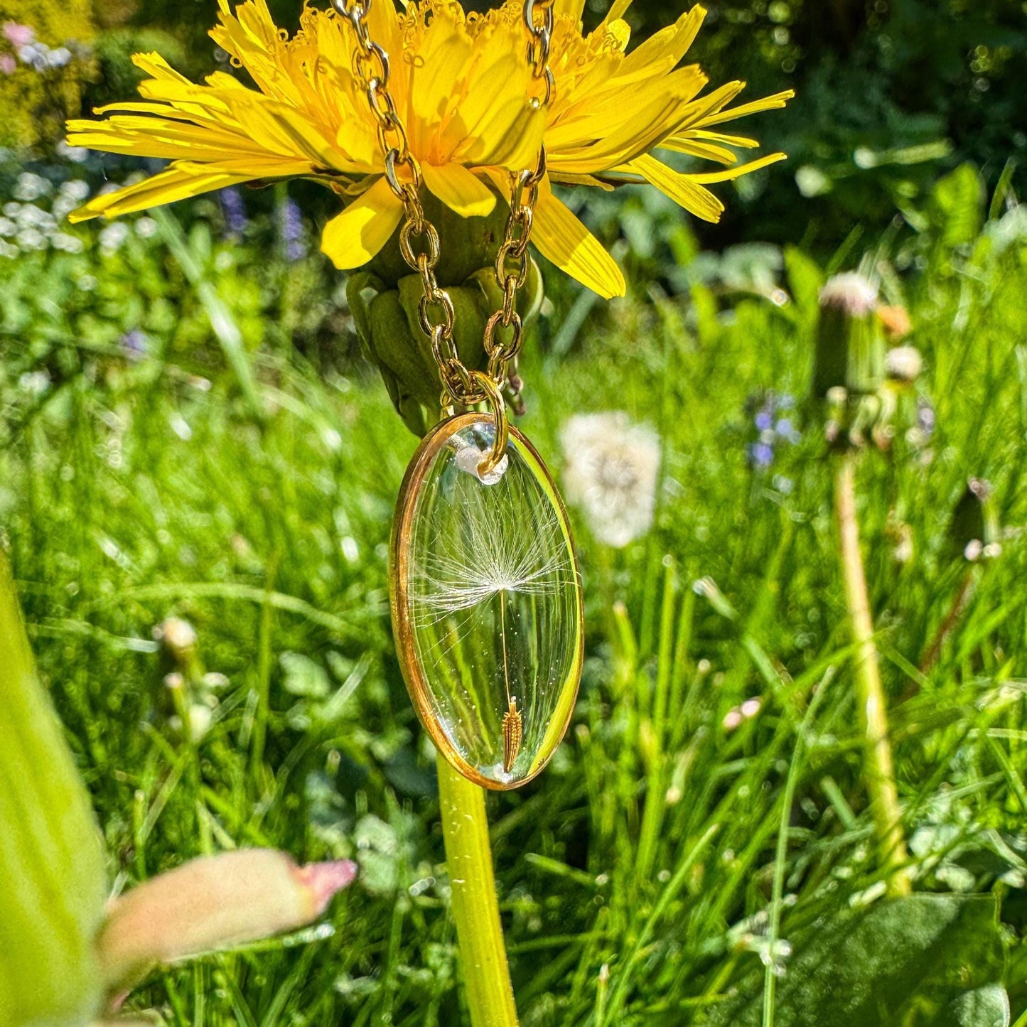 Pusteblumen-Anhänger - Einzigartiges Naturschmuckstück 🍃