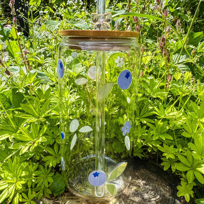 Trinkglas mit Blaubeeren - für die süße Erfrischung 🫐🍃