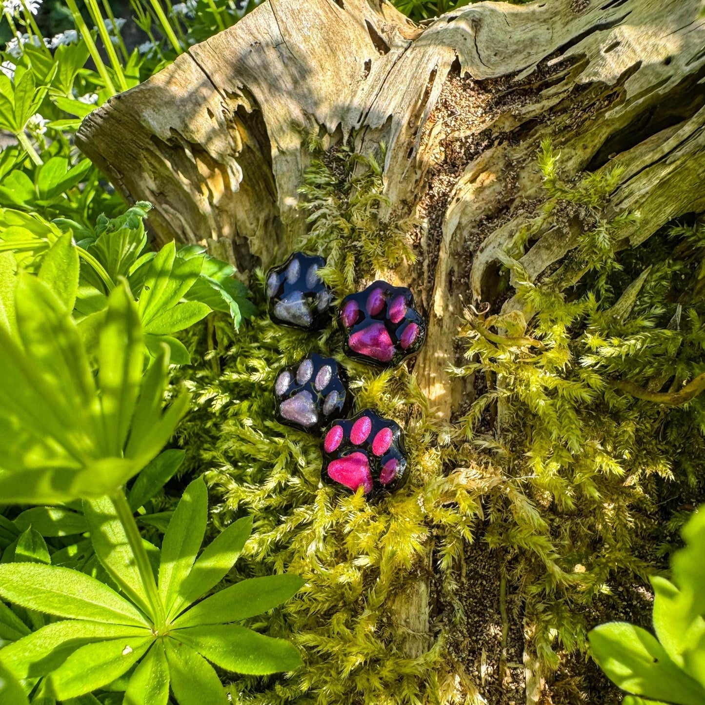 Niedliche Pfoten-Ohrstecker - liebevolles Schmuckstück für Katzenliebhaber 🐾