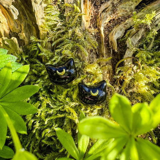 Niedliche Katzen-Ohrstecker mit Sichelmond - magisches Schmuckstück für Katzenliebhaber 🐾