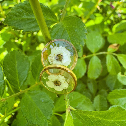 Spierstrauch-Ohrstecker - Zartes Schmuckstück mit echter Blüte 🌺