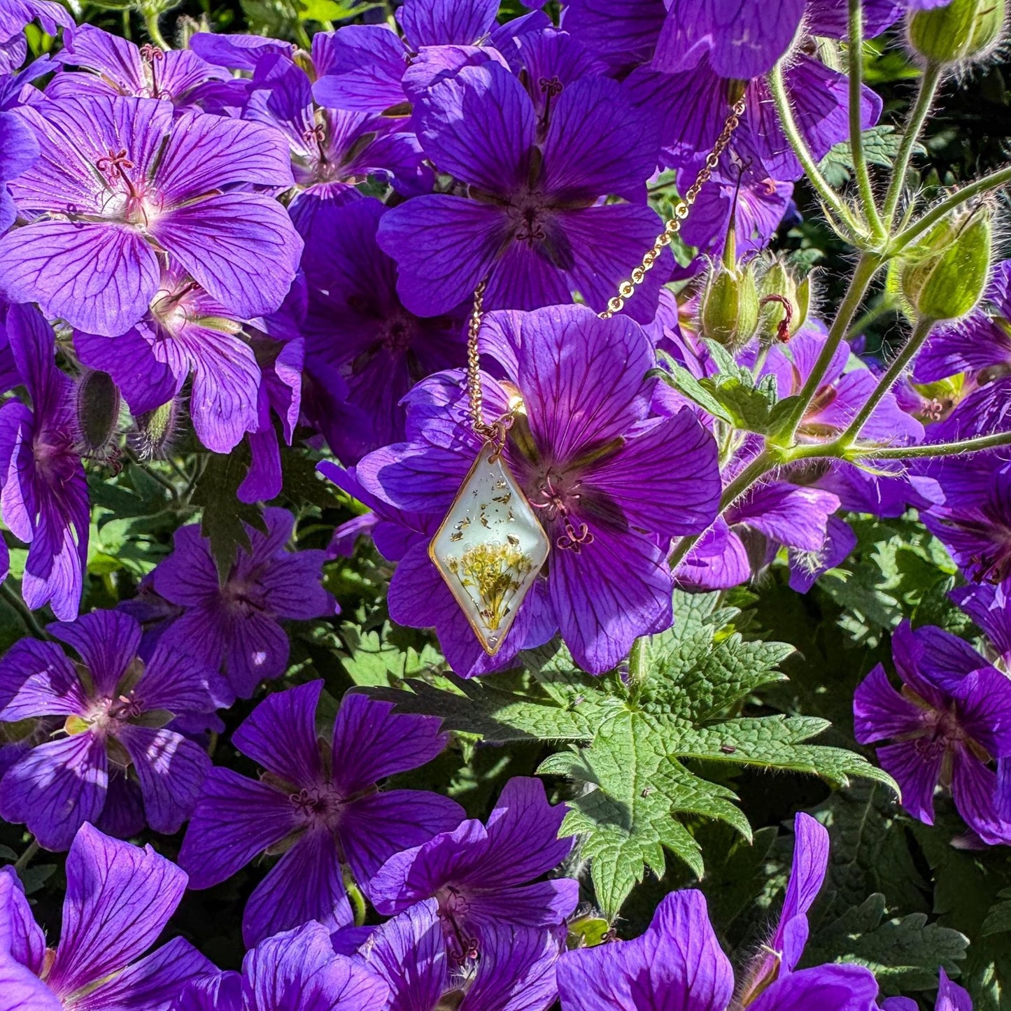 Hirtentäschel-Anhänger - Zartes Schmuckstück mit echter Blüte 🌺