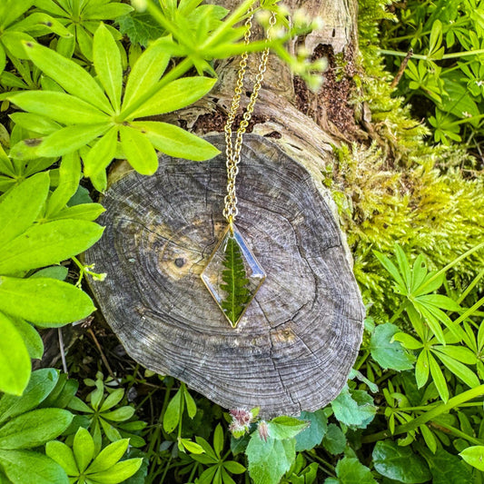 Farn-Anhänger - Einzigartiges Naturschmuckstück 🌿
