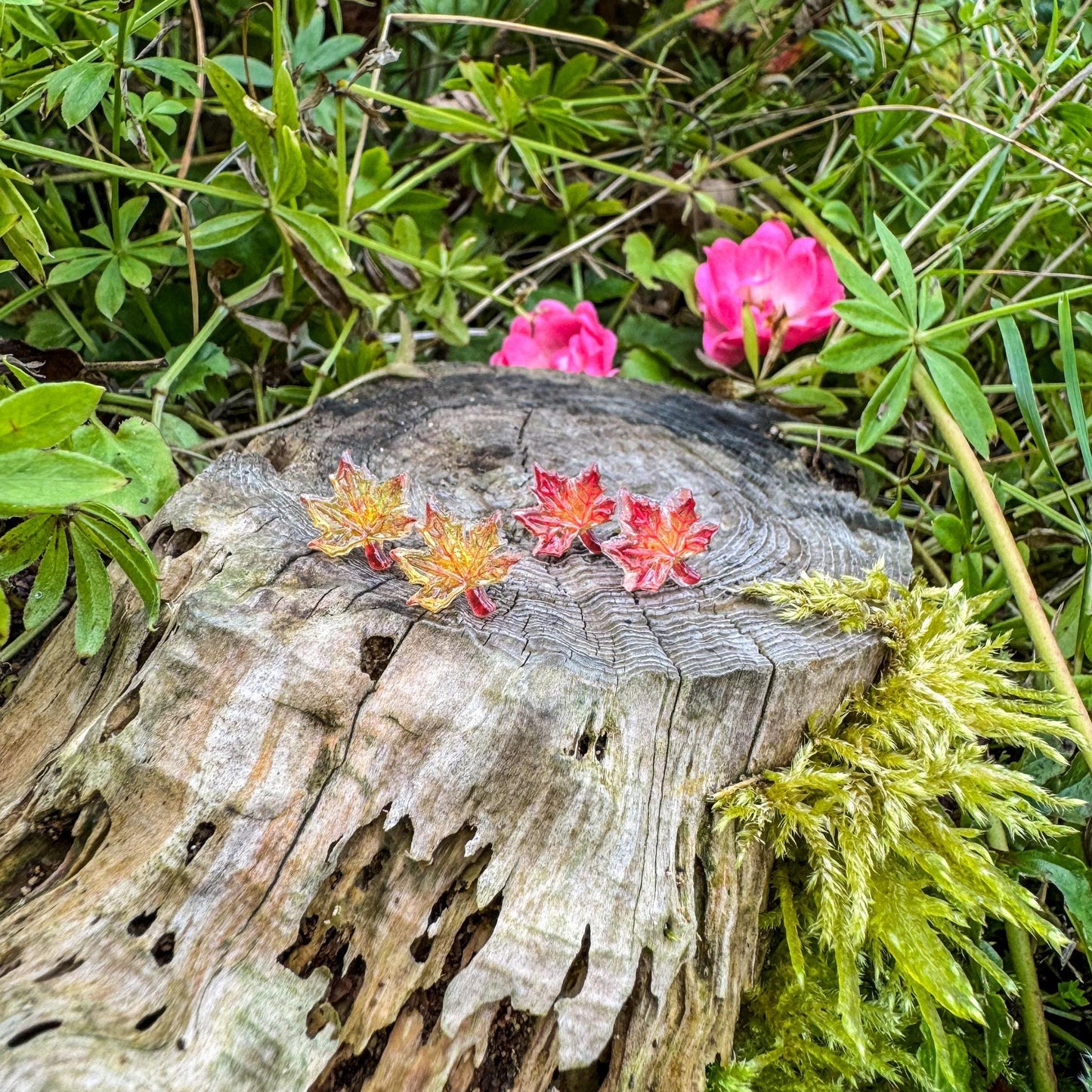 Niedliche Ahorn-Ohrstecker - Handgefertigtes Schmuckstück mit kleinen Blättern 🍁