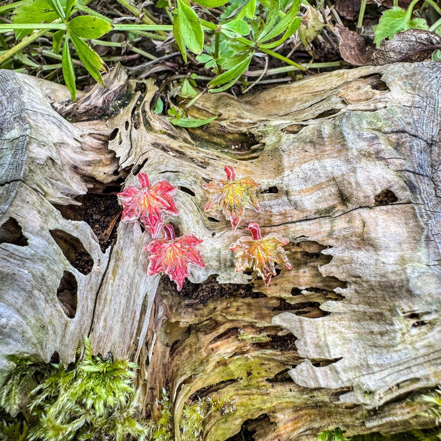 Niedliche Ahorn-Ohrstecker - Handgefertigtes Schmuckstück mit kleinen Blättern 🍁